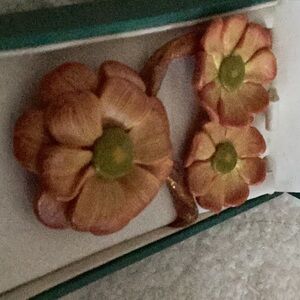 Kit health necklace set ,